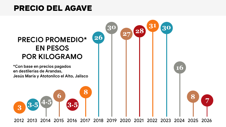 Precios del agave azul en Arandas, Jesús María y Atotonilco el Alto, Jalisco