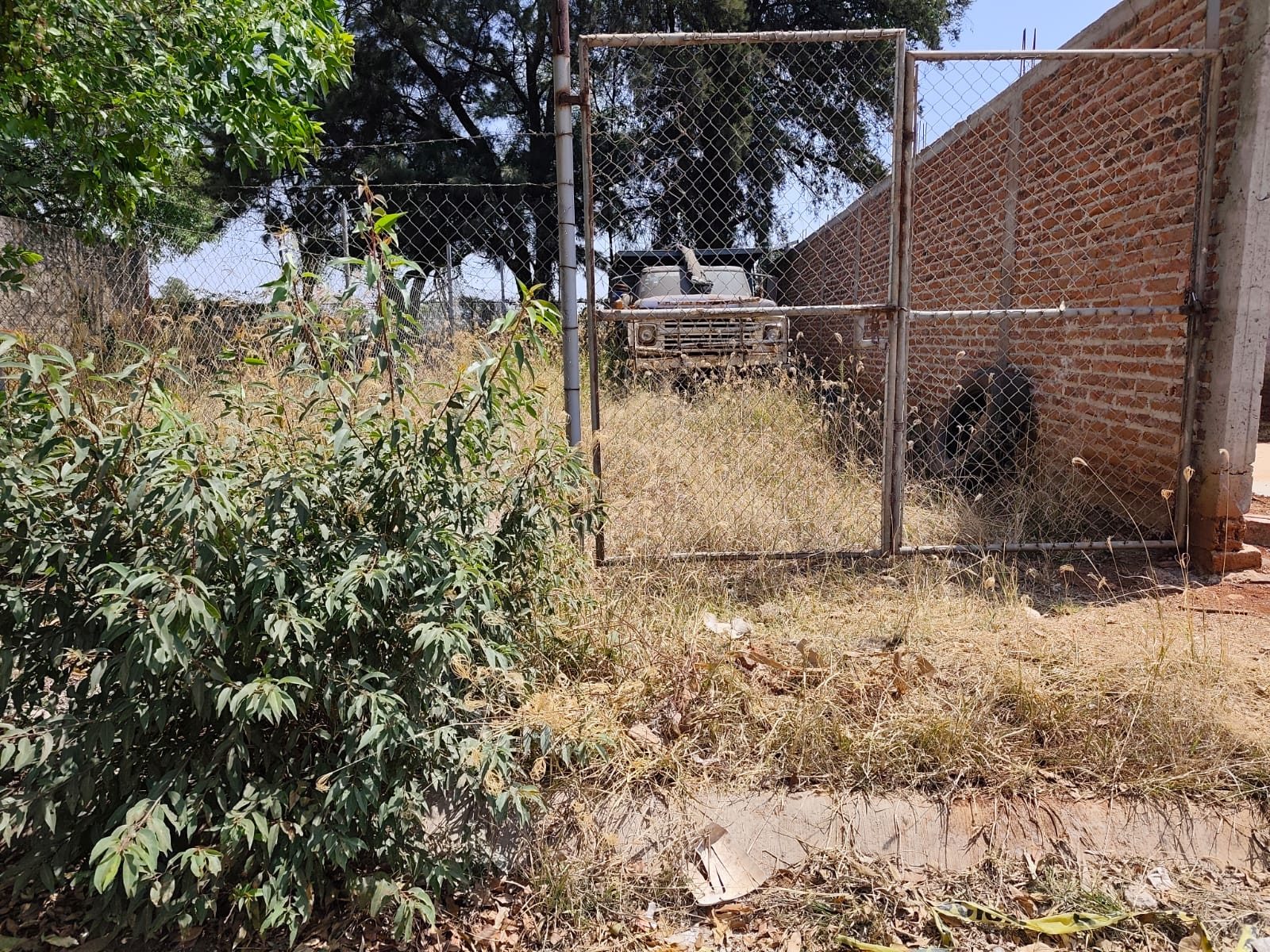 Existen cientos de terrenos baldíos en Arandas llenos de maleza y escombros